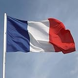 BigTree France Flag 3x5 Ft Polyester with Grommets for Garden & Events view 8
