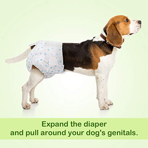Pet Soft Dog Diapers Female Disposable Puppy Diapers, Cat Diapers