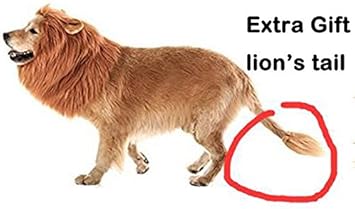 Lion Mane For Dog Dogloveit Dog Costume With Ears And Gift Lion Tail Lion Wig For Dog L Black Amazon Co Uk Pet Supplies