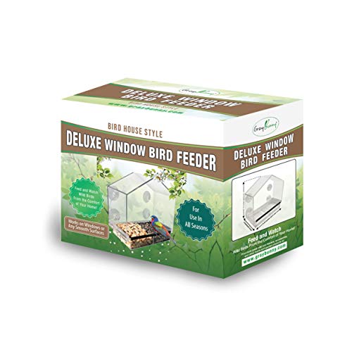 4 Gray+Bunny+GB+6902+Birdfeeder+Transparent