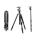 Zomei Z818 Professional Camera Tripod Monopod with Ball Head/Quick Release Plate and Carring Case (Black)