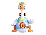Huile 828 Goose Toy
