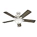 Hunter Matheston Indoor / Outdoor Ceiling Fan with Light and Pull Chain Control