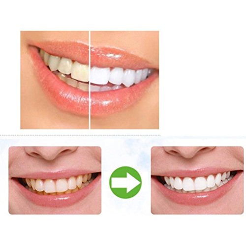 Kshion Teeth Whitening Powder Natural Organic Activated Charcoal Bamboo Toothpaste