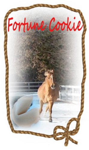 Welcome Poudre River Stables