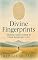 Livro Divine Fingerprints: Seeing God’s Hand in Your Everyday Life