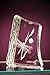 Armour Etch AR10-0101 Glass Etching Deluxe Kit, 1 Pack, Multicolor