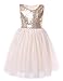 Cilucu Flower Girls Dresses Kids Birthday Party Dress Toddlers Sequin Tutu Dress Pageant Gown Sleeveless Gold