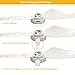 RCGEEK Low Noise Propeller 9455 Night Cruise Flashlight Props LED Blades Replacement for Phantom 4 Pro V2/Pro/Adv Propellers, 2 Pairs