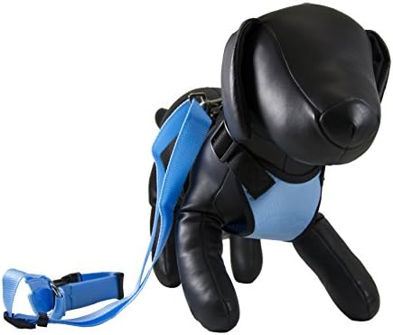 Petcessory PHB-001-BLU-L Travel Harness with Leash, Large, Blue