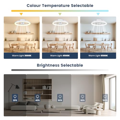 Ceiling Fan with Lighting, 40 cm LED Dimmable Ceiling Lighting, App and Remote Control, Dining Room Lamp with Fan, 6-Speed, Timer, Quiet, White