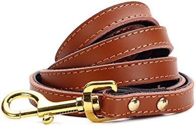 Petween Basic Classic Leather Pet Leads Leashes for Cats Puppy Small Medium Dogs