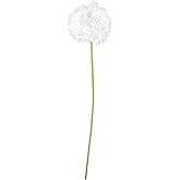HOLIDYOYO Simulated Dandelion Artificial Flowers 27.55In Faux Dried Flower Vase Filler for Indoor Outdoor Wedding Party Home Decoration