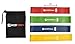 WODFitters Bandelicious Mini Bands Set - 4 Exercise Workout Resistance Bands - Exercise Loops - Workout Flexbands for Stretching, Physical Therapy, Rehab, Home Fitness and Muscle Activation