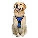 rabbitgoo Dog Harness No Pull with 2 Leash Clips, Adjustable Soft Padded, Reflective Oxford No Choke Pet Vest with Easy Control Handle for Large Dogs, Dazzling Blue, L