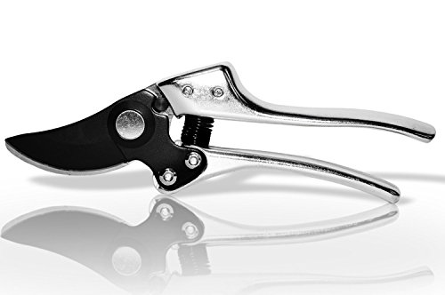 Basilica Botanica Pruning Shears - Best Gardening Tool - Thumbnail 2