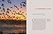 The Migration of Birds: Seasons on the Wing