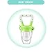 MiChef Food Feeder, Baby Fresh Fruit Feeder Teether Feeder, Infant Teething Toy, Silicone Pouches (2 Pack)