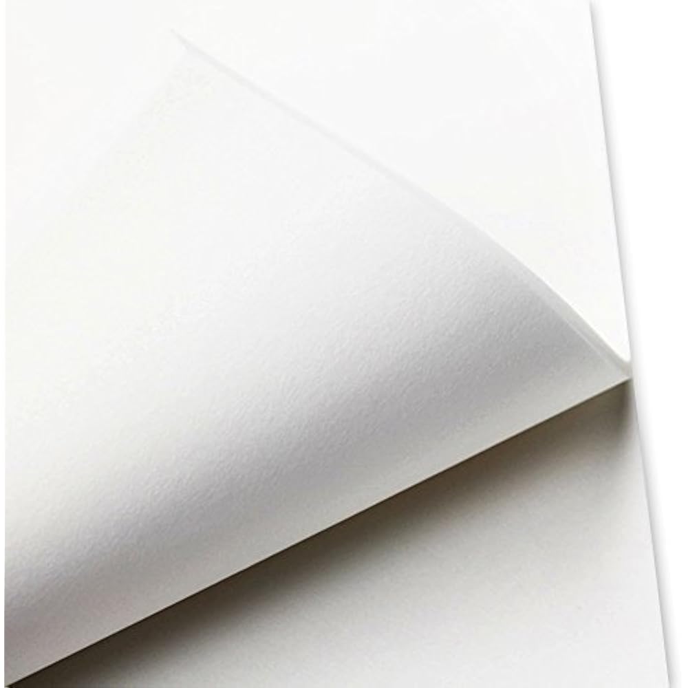 100 PCS Precut Parchment Paper Cookie Baking Sheets 12 X 16 Inches