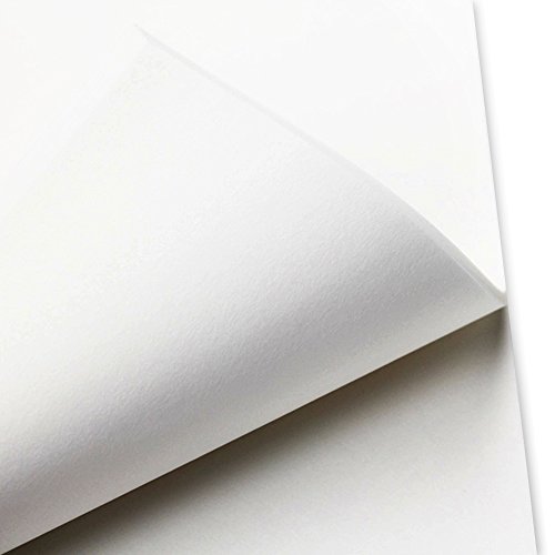 Weoxpr 100 PCS Precut Parchment Paper Cookie Baking Sheets - 12 x 16 Inches - Perfect for High Temperature Baking(White)