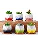 HomeNote 2.75inch Succulent Planter Pots Set Flower Cactus Ceramic Holder Unique Color Glaze White Container Kit with Bamboo Tray for Home Decor（Pack of 6)