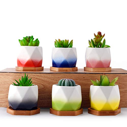 HOMENOTE 2.75inch 12pcs Small Succulent Planter with Drainage Bamboo Tray Colorful Ceramic Succulent Pots Set for Home Decor