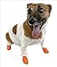 Dog Boots That Stay On Fit Securely Without Zippers Or Straps X-Small Orange XS Sizes Up To 2 Inches