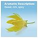 doTERRA Ylang Ylang Essential Oil - 15 ml