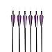 IRQ 6 Pack 32 Inch Carbon Hunting Arrows Archery Target Practice Arrows for Recurve and Compound Bow 350 Spine with Replaceable Tips
