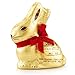 Lindt Chocolate Easter Ready Gold Bunny and Egg Bundle