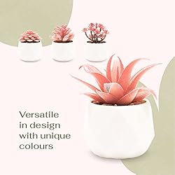 VIVERIE Mini Succulents Plants Artificial in