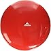 Black Mountain Products Exercise Balance Stability Disc with Hand Pump