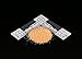 Orange Spiny Oyster, Crushed Inlay (Medium)
