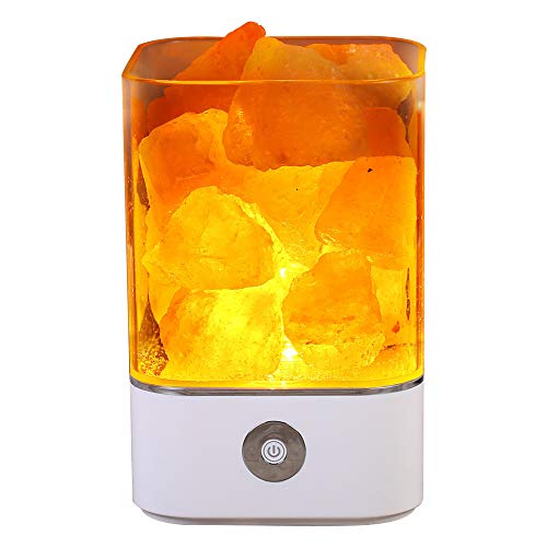 TOMNEW Natural Himalayan Salt Lamp, USB Real Himalayas Himilian Pink Salt Crystal Rock Lamp Good for Health Small Mineral Negative Ionic Stone Lava Salt Night Light for Bedroom Office (S-White)