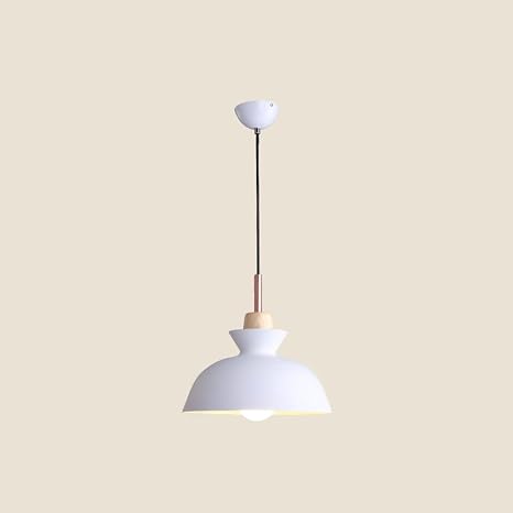 Nordic Fer Pendant Light Led Protection Des Yeux En