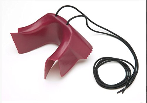 FootFunnel Shoe Assist