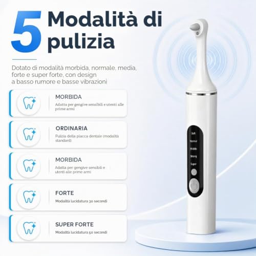 Professional Teeth Whitening Tartar Remover Kit with 5 Modes Teeth Cleaning Whitening Teeth Polisher with 6 Polishing and Whitening Accessories