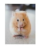Journal: Hamster by Dreamflight Publications