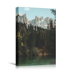 signwin Canvas Wall Art Green Forest Dramatic Forest...