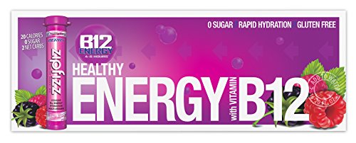 ZIPFIZZ DAILY ENERGY DRINK POWDER, BERRY, 20 PACK | 3-IN-1 SUSTAINED ENERGY, RAPID HYDRATION, AND ESSENTIAL VITAMINS | SUGAR-FREE | ELECTROLYTE POWDER | CONTAINS VITAMIN B-12 & ANTIOXIDANTS