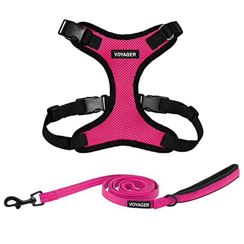 Voyager Stepin Lock Dog Harness w Reflective Dog Leash Combo Set with