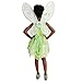 Disney Tinker Bell Costume for Kids - Peter Pan Size 3 Green