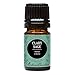Edens Garden Clary Sage 5 ml 100% Pure Undiluted Therapeutic Grade Essential Oil GC/MS Tested