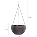 Dia 10.4 in. Round Self-Watering Hanging Planters for Indoor Outdoor Plants Plastic Resin Garden Hanging Baskets for Plants (brown)