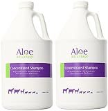 (2 pack) Aloe Concentrated Shampoo