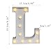 DELICORE LED Marquee Letter Lights Alphabet Light Up Sign for Wedding Home Party Bar Decoration L