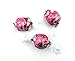 Lindt LINDOR Raspberry Dark Chocolate Truffles, Pink Wrap (Pack of 2 Pounds)
