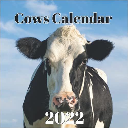 Cows Calendar 2022: Cows Wall Calendar 2021-2022 Size 8.5 X 8.5 Inch Monthly Square Wall Calendar,16 Month Calendar 2021 Glossy Finish For Women, Men