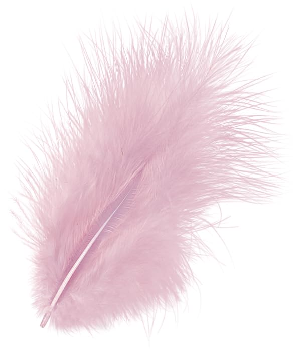 Knorr Prandell 6619215 Marabou Feathers x 10 cm Pale Pink