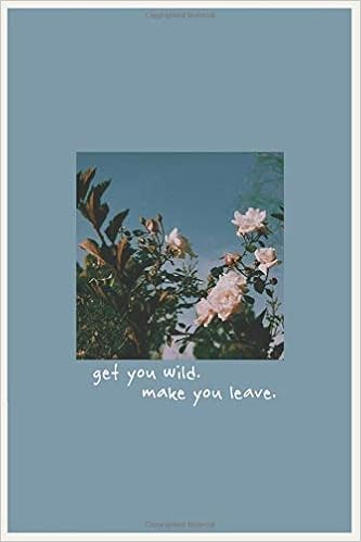 Aesthetic Notebook Aesthetic Quote Kawaii Japanese Blue Sky Inspirational Journal Pale Aesthetic Journal Notebook Notebook Aesthetic Amazon Com Books